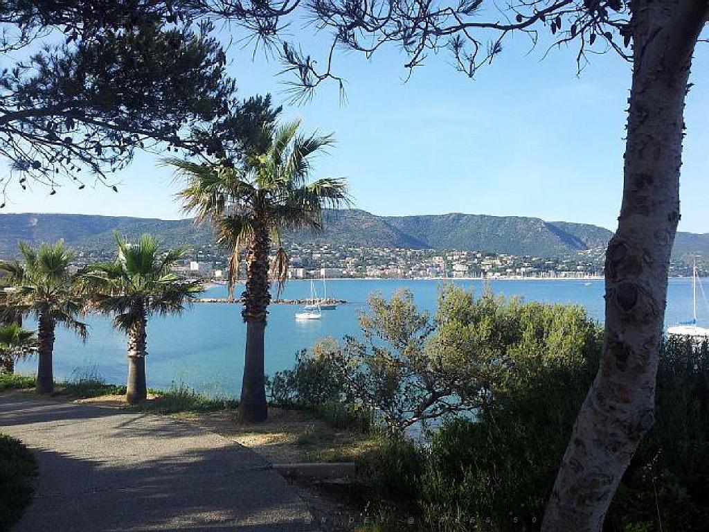 183 D36 LE LAVANDOU_000063.jpg
